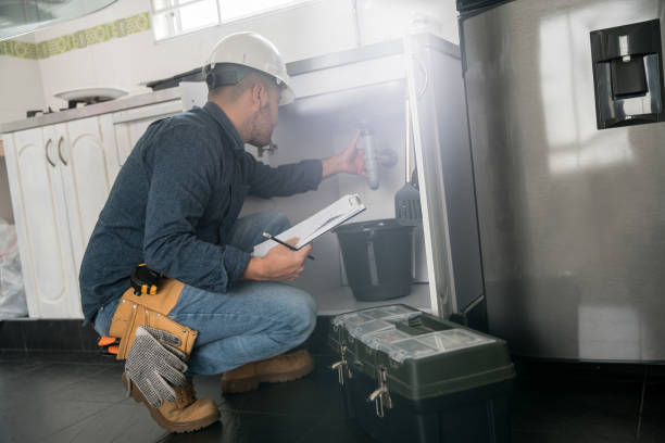 Best Sewer Line Repair  in Wlow Springs, IL
