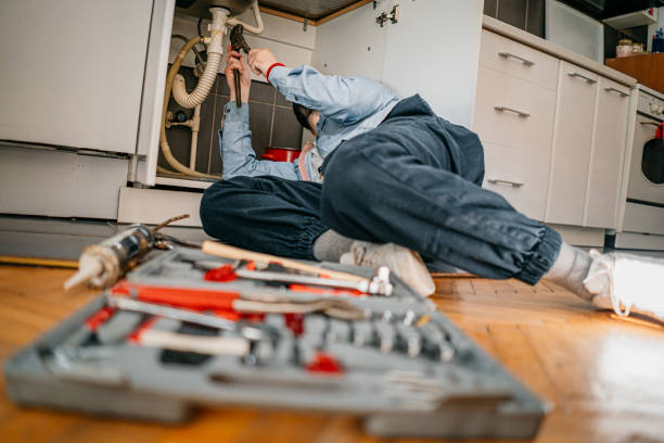 Best Shower Repair Services  in Wlow Springs, IL
