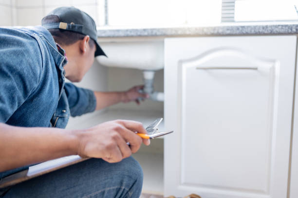 Best Affordable Plumber Near Me  in Wlow Springs, IL