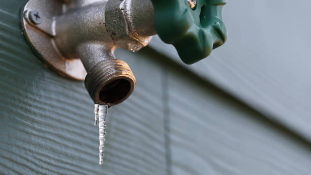 Best Best Plumbers Near Me  in Wlow Springs, IL